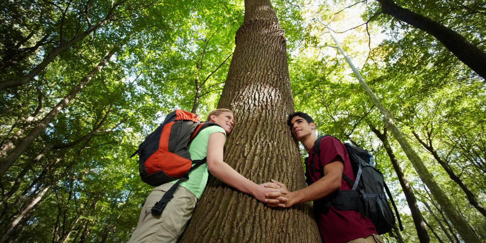 two person hugging a tree