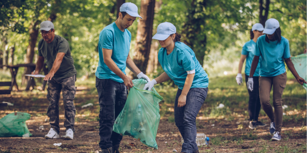 people cleaning in a forest